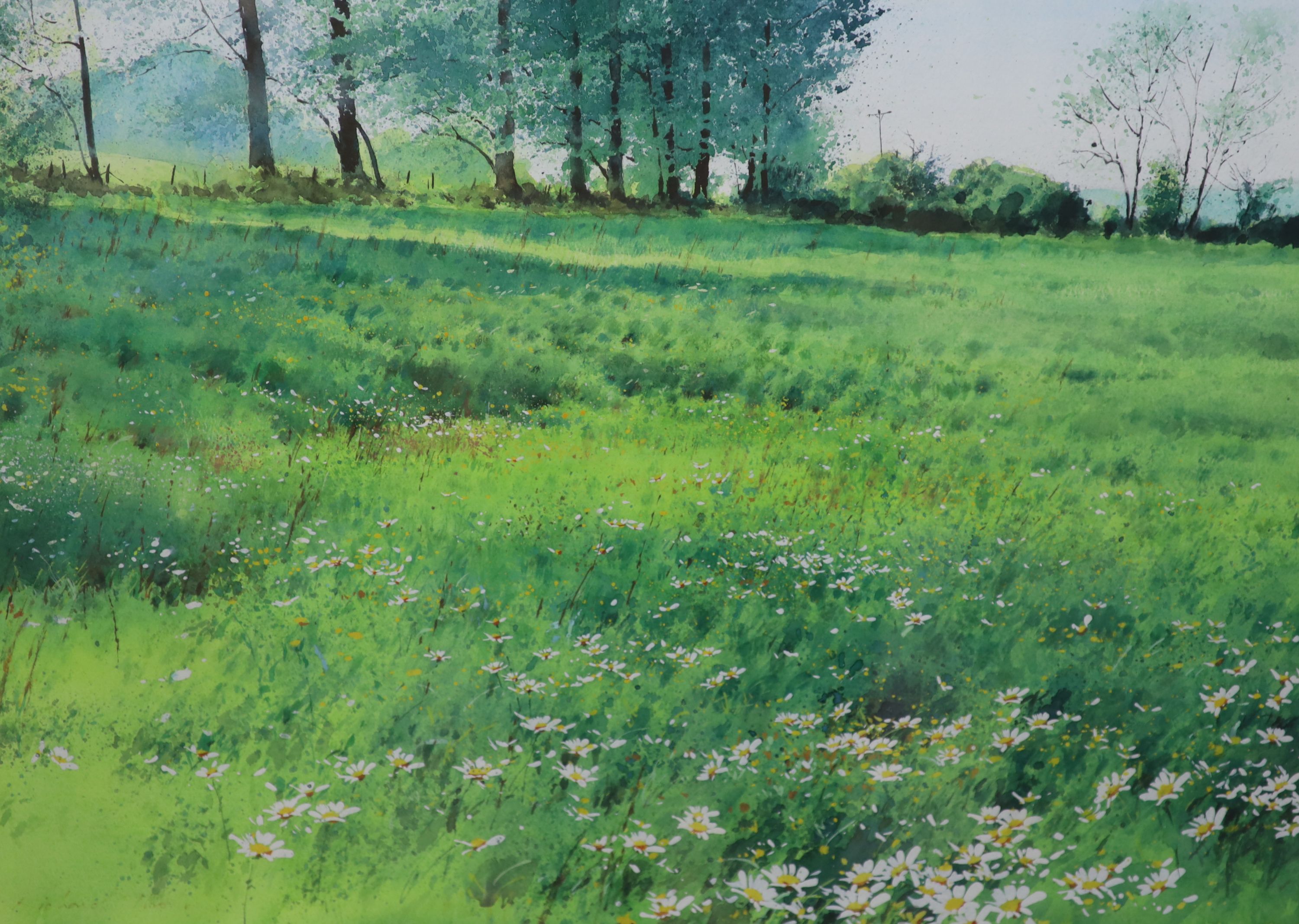 Richard Thorn (b.1952), watercolour, Meadow with trees, signed, 39 x 53cm